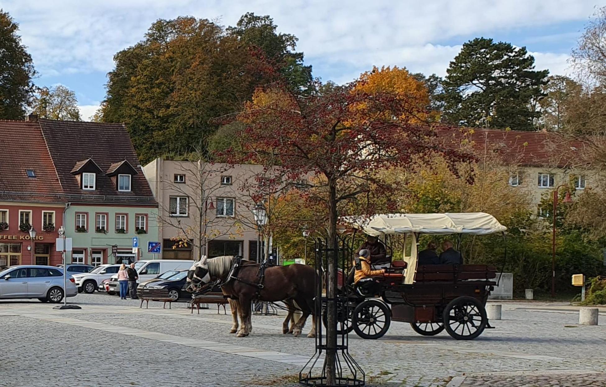 Apartment Gruener Fuerst Mit Sitzecke Im Innenhof & Naehe Park & Erdgeschoss Bad Muskau Kültér fotó